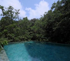 a swimming pool in front of some trees at HIDE ELLA Hotel & Resort in Ella