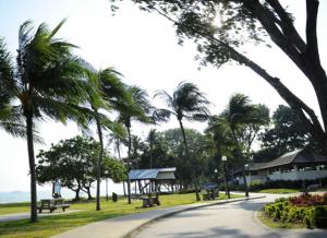 ulica z palmami i park z ławkami w obiekcie Cozy 2BR Apartment! w Singapurze