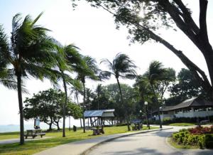 a street with palm trees and a park with benches at Cozy 2BR Apartment! in Singapore