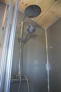 a shower with a shower head in a bathroom at Pembrokeshire Shepherd hut with hottub in Jordanston