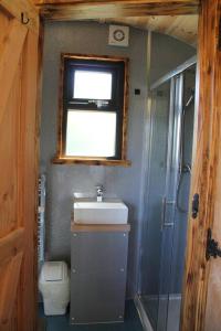 a small bathroom with a sink and a shower at Pembrokeshire Shepherd hut with hottub in Jordanston