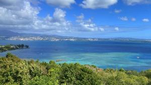 Bild i bildgalleri på Le Marmoris, Anse Mitan, Superbe T2 neuf, sublime vue mer i Les Trois-Îlets