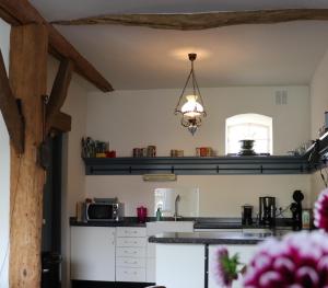 Kuchyň nebo kuchyňský kout v ubytování Bed & Breakfast Appeltern