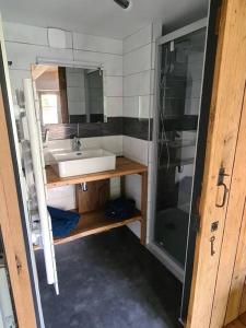 a small bathroom with a sink and a shower at Ancien séchoir du 19ème siècle in Saint Die