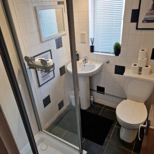 a bathroom with a shower and a toilet and a sink at Hide away (Central Inverurie) in Inverurie