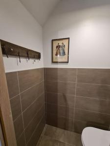 łazienka z toaletą i zdjęciem na ścianie w obiekcie Ancien séchoir du 19ème siècle w mieście Saint-Dié