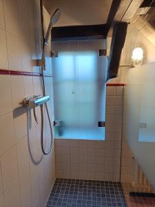 y baño con ducha y puerta de cristal. en Ferienhaus Alte Schmiede, en Erfurt