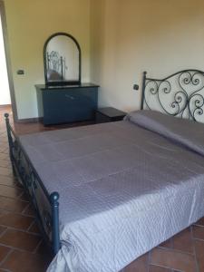 a bedroom with a bed with a dresser and a mirror at Vivi la Natura (piano 1) in San Benedetto in Perillis