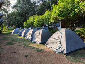 Foto de la galería de Lazy Panda en Hampi