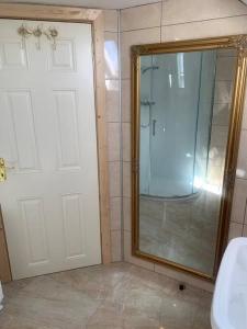 a bathroom with a glass shower with a mirror at Castle View Suite in Sligo