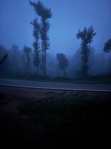 eine Straße im Nebel mit Bäumen an der Seite in der Unterkunft ViGo Homes in Sakleshpur