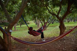 Hosté ubytování NUYU Khaoyai
