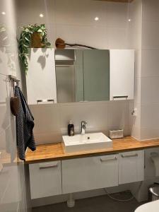 Koupelna v ubytování Luxury residence in Rovaniemi
