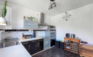 uma cozinha com um lavatório e um fogão forno superior em appartement t3 terrasse em Troyes