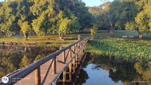 un puente sobre un cuerpo de agua con árboles en Rancho de Vidro no Paraíso, en Pederneiras