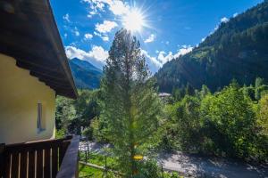 een boom op een balkon met de zon in de lucht bij Haus Nani in Bad Gastein