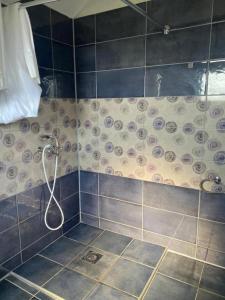 a bathroom with a shower with a hose at Horizonti Miroc in Donji Milanovac