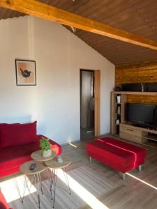 a living room with a red couch and a tv at Horizonti Miroc in Donji Milanovac