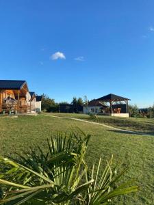 einen Busch in einem Garten mit einem Haus und einem Pavillon in der Unterkunft Horizonti Miroc in Donji Milanovac