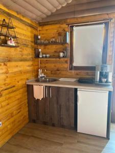 d'une cuisine avec un comptoir, un évier et une fenêtre. dans l'établissement Horizonti Miroc, à Donji Milanovac
