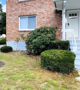 a brick house with bushes in front of it at Cozy Boston Getaway Apartment in Boston