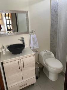 een badkamer met een toilet, een wastafel en een spiegel bij RIO CLARO ANT, Acogedora CASA con hermosa vista in Naranjo