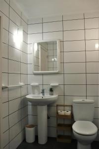 a bathroom with a toilet and a sink and a mirror at Adega do Xelica - Holiday Cottage in Arcos