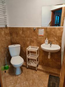 a bathroom with a toilet and a sink at Agroturystyka Goliat 