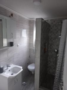 uma casa de banho com um WC, um lavatório e um chuveiro em Adagio Studio Apartment em Plav