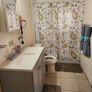 a bathroom with a toilet and a shower curtain at FruitTree Paradise in Raphune