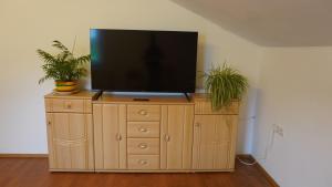 a television on top of a wooden cabinet with two plants at Geräumige Wohnung Nähe Autobahn A2 in Gleisdorf