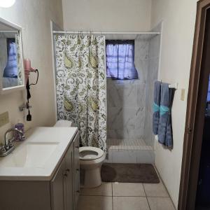 a bathroom with a shower with a toilet and a sink at FruitTree Paradise in Raphune