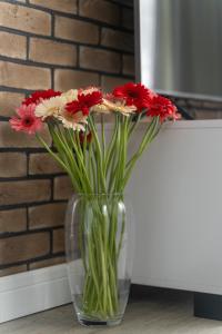 a clear vase with red and white flowers in it at Apartament Doris 1 z pięknym widokiem in Pobierowo