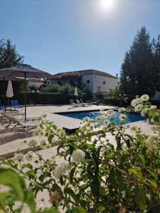 vista su una piscina con fiori bianchi di Villa Penelope a Douliana