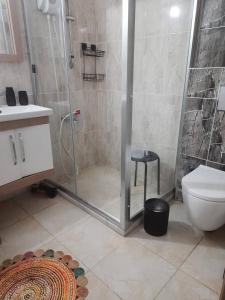 y baño con ducha, aseo y lavamanos. en Cozy two-room apartment for living, en Erdemli