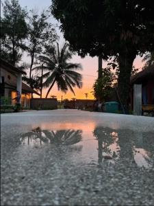 un reflet d’un palmier dans une flaque d’eau dans l'établissement CAMPAMENTO CHEZ CAMPOS, à Cap Skirring