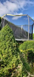 a reflection of a bridge in a field of vegetation at Bellevue Bungalow in Belfast