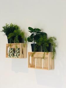 twee houten planters met planten op een muur bij Le studio d'Angèle : KIMI in Bruz