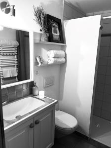 a bathroom with a sink and a toilet and a mirror at Chalet Apartment Serenity Lodge in Charmey