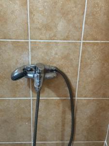 a shower head in a bathroom with a hose at Apartments Airport Golubovci in Podgorica