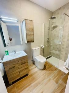 a bathroom with a toilet and a sink and a shower at Apartamentos Rurales La Plaza 1 in Duruelo de la Sierra