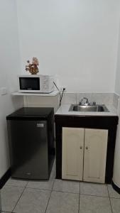 a kitchen with a sink and a microwave at Hotel Valladolid in Heredia