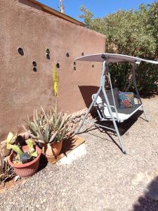 uma rede e uma parede de pedra com uma planta em Cabaña Pop em San Pedro de Atacama