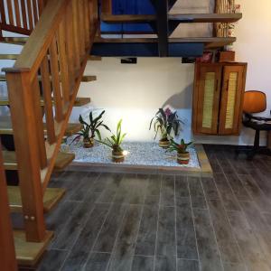 a living room with stairs and potted plants at Casa Iris Hotel Boutique in Barichara