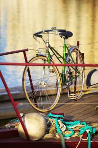 un vélo garé sur une terrasse en bois à côté d'un chien dans l'établissement Hôtel La Résidence des Artistes, à Roscoff