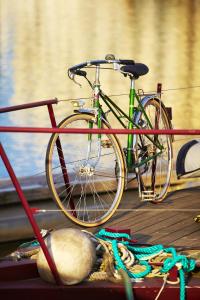 a bike parked on a wooden deck next to a dog at Hôtel La Résidence des Artistes in Roscoff