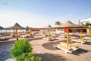 a row of straw umbrellas and lounge chairs on a beach at 3 bedroom Villa W/ beach access in Hurghada