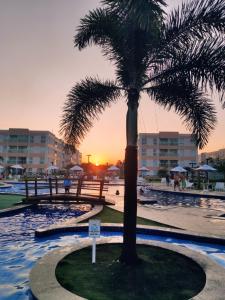 una palmera en medio de una piscina en Maraújosflat, Porto de Galinhas en Porto de Galinhas