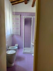 uma casa de banho com um WC, um lavatório e um chuveiro em ANGELA 13 em Loreto