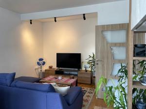 een woonkamer met een blauwe bank en een tv bij Wild Green in Sarajevo